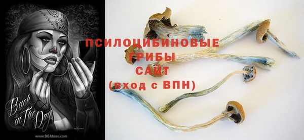 каннабис Богданович