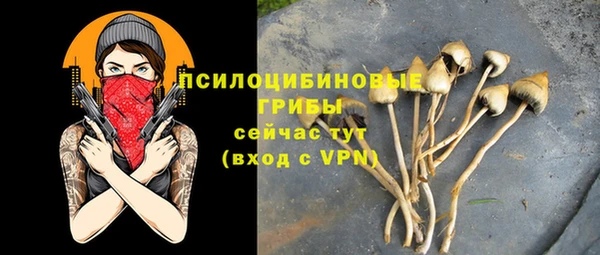таблы Белокуриха