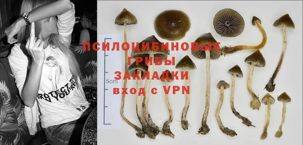 мяу мяу мука Балахна