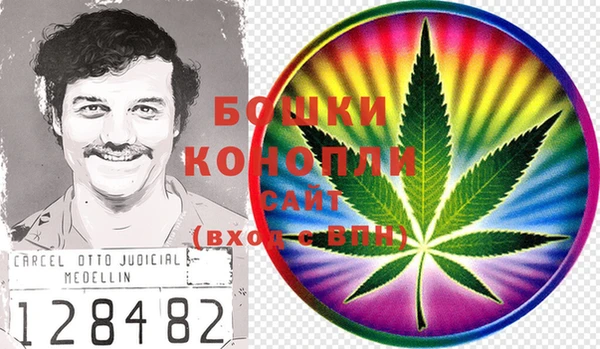 ПСИЛОЦИБИНОВЫЕ ГРИБЫ Богородицк