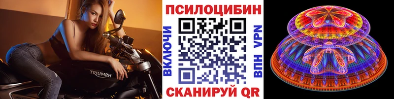 Галлюциногенные грибы Cubensis  ОМГ ОМГ ONION  Буй 